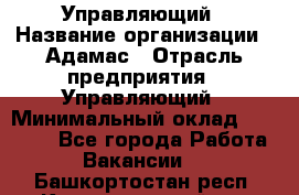 Управляющий › Название организации ­ Адамас › Отрасль предприятия ­ Управляющий › Минимальный оклад ­ 40 000 - Все города Работа » Вакансии   . Башкортостан респ.,Караидельский р-н